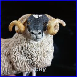 Border Fine Arts Black Faced Tup Figurine by Anne Wall, 1995 The County Show