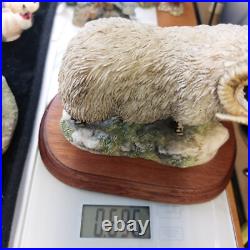 Border Fine Arts Black Faced Tup Figurine by Anne Wall, 1995 The County Show