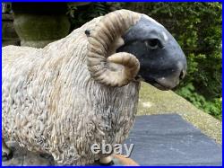 Border Fine Arts'Black face Tup' (Style One) Model No. L15 by Mairi Hunt