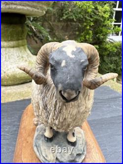 Border Fine Arts'Black face Tup' (Style One) Model No. L15 by Mairi Hunt