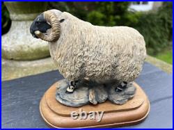 Border Fine Arts'Black face Tup' (Style One) Model No. L15 by Mairi Hunt