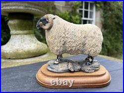 Border Fine Arts'Black face Tup' (Style One) Model No. L15 by Mairi Hunt