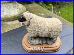 Border Fine Arts'Black face Tup' (Style One) Model No. L15 by Mairi Hunt