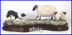 Border Fine Arts Blackfaced Ewe & Collie B104 Ray Ayres Vintage Mounted VGC