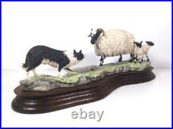 Border Fine Arts Blackfaced Ewe & Collie B104 Ray Ayres Vintage Mounted VGC