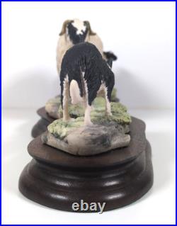 Border Fine Arts Blackfaced Ewe & Collie B104 Ray Ayres Vintage Mounted VGC