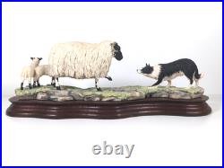 Border Fine Arts Blackfaced Ewe & Collie B104 Ray Ayres Vintage Mounted VGC