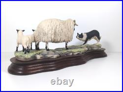 Border Fine Arts Blackfaced Ewe & Collie B104 Ray Ayres Vintage Mounted VGC