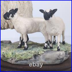 Border Fine Arts Blackfaced Ewe & Collie B104 Ray Ayres Vintage Mounted VGC