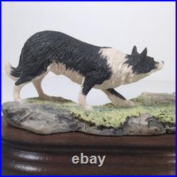Border Fine Arts Blackfaced Ewe & Collie B104 Ray Ayres Vintage Mounted VGC