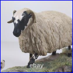 Border Fine Arts Blackfaced Ewe & Collie B104 Ray Ayres Vintage Mounted VGC