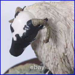 Border Fine Arts Blackfaced Ewe & Collie B104 Ray Ayres Vintage Mounted VGC