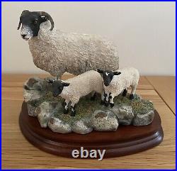 Border Fine Arts, Blackie Ewe and 2 lambs by Ray Ayres. Limited Edition of 1250