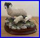 Border-Fine-Arts-Blackie-Ewe-and-2-lambs-by-Ray-Ayres-Limited-Edition-of-1250-01-yi