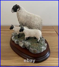 Border Fine Arts, Blackie Ewe and 2 lambs by Ray Ayres. Limited Edition of 1250