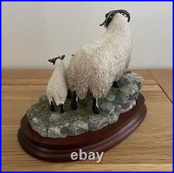 Border Fine Arts, Blackie Ewe and 2 lambs by Ray Ayres. Limited Edition of 1250