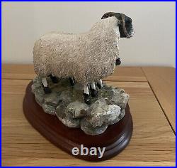 Border Fine Arts, Blackie Ewe and 2 lambs by Ray Ayres. Limited Edition of 1250