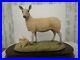 Border-Fine-Arts-Blue-Face-Leicester-Ewe-And-Lambs-1981-Ray-Ayres-Ltd-Ed-232-01-ps