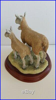 Border Fine Arts Blue Faced Leicester Ewe and Lambs A1247 NEW NEVER DISPLAYED