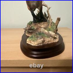 Border Fine Arts Bo839 Breaking Cover 24/750 Original