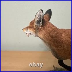 Border Fine Arts Bo839 Breaking Cover 24/750 Original