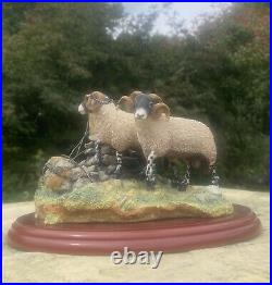 Border Fine Arts'Bolted' sheep figurine by Hans Kendrick, 2001