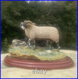 Border Fine Arts'Bolted' sheep figurine by Hans Kendrick, 2001