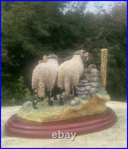 Border Fine Arts'Bolted' sheep figurine by Hans Kendrick, 2001