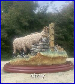 Border Fine Arts'Bolted' sheep figurine by Hans Kendrick, 2001