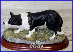 Border Fine Arts Border Collie Black and White Rare Vintage Model B0449A Vgc