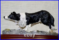 Border Fine Arts Border Collie Black and White Rare Vintage Model B0449A Vgc