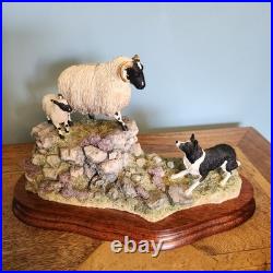 Border Fine Arts Border Fine Arts B0198 EWE & LAMB