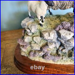 Border Fine Arts Border Fine Arts B0198 EWE & LAMB