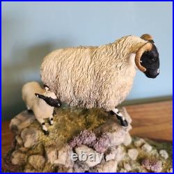 Border Fine Arts Border Fine Arts B0198 EWE & LAMB