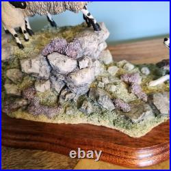 Border Fine Arts Border Fine Arts B0198 EWE & LAMB