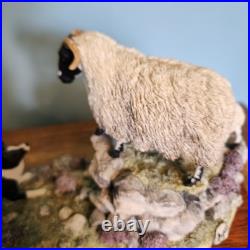Border Fine Arts Border Fine Arts B0198 EWE & LAMB