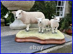 Border Fine Arts Border Fine Arts B0658 TEXEL EWE & LAMBS