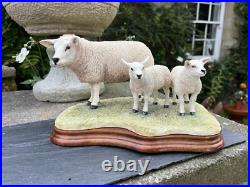 Border Fine Arts Border Fine Arts B0658 TEXEL EWE & LAMBS