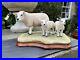 Border-Fine-Arts-Border-Fine-Arts-B0658-TEXEL-EWE-LAMBS-01-zyij