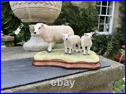 Border Fine Arts Border Fine Arts B0658 TEXEL EWE & LAMBS