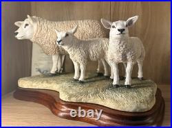 Border Fine Arts Border Fine Arts B0658 TEXEL EWE & LAMBS