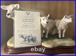 Border Fine Arts Border Fine Arts B0658 TEXEL EWE & LAMBS