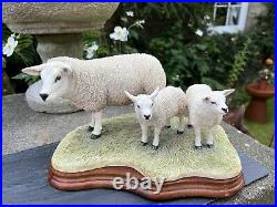 Border Fine Arts Border Fine Arts B0658 TEXEL EWE & LAMBS