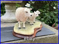 Border Fine Arts Border Fine Arts B0658 TEXEL EWE & LAMBS