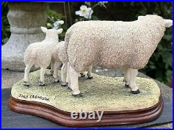 Border Fine Arts Border Fine Arts B0658 TEXEL EWE & LAMBS