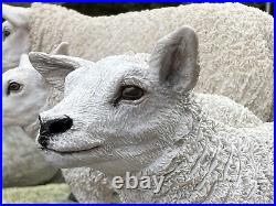 Border Fine Arts Border Fine Arts B0658 TEXEL EWE & LAMBS