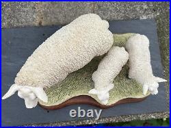 Border Fine Arts Border Fine Arts B0658 TEXEL EWE & LAMBS