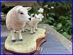 Border Fine Arts Border Fine Arts B0658 TEXEL EWE & LAMBS