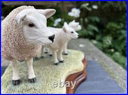 Border Fine Arts Border Fine Arts B0658 TEXEL EWE & LAMBS