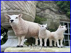 Border Fine Arts Border Fine Arts B0658 TEXEL EWE & LAMBS